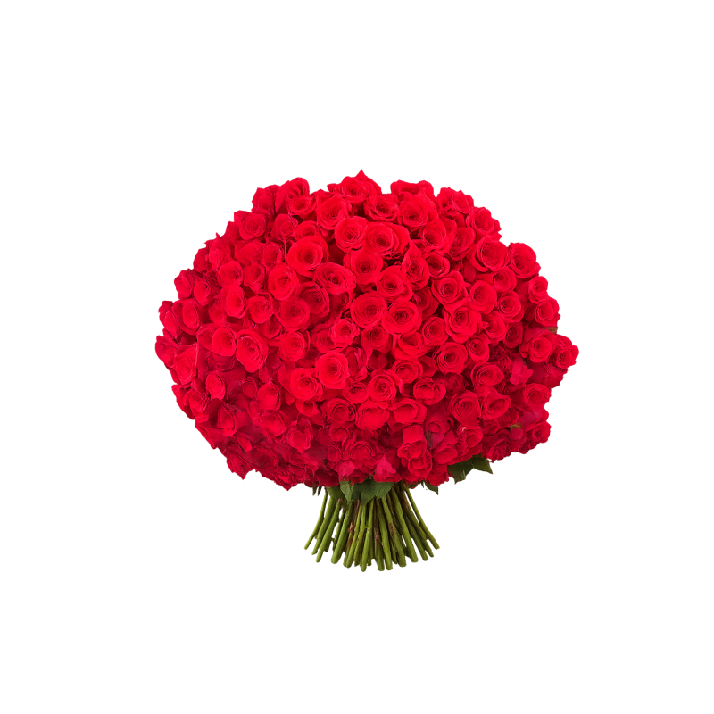 BUCHET TRANDAFIRI ROSII