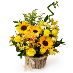 Aranjament Floral „Golden Majesty”